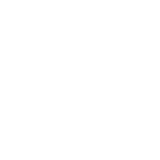 bleuets blanc 2